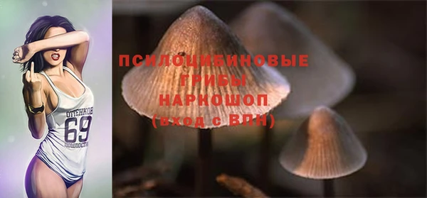 apvp Алзамай