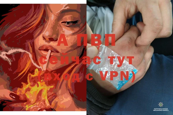 apvp Алзамай