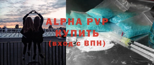 apvp Алзамай