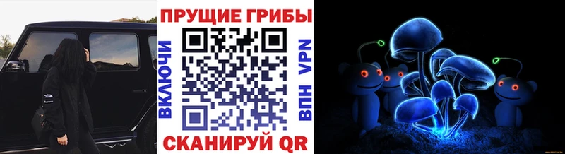 MEGA Ступино Галлюциногенные грибы прущие грибы